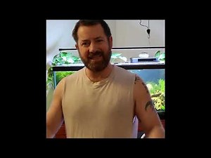 Adding Substrate to Already Established Aquarium