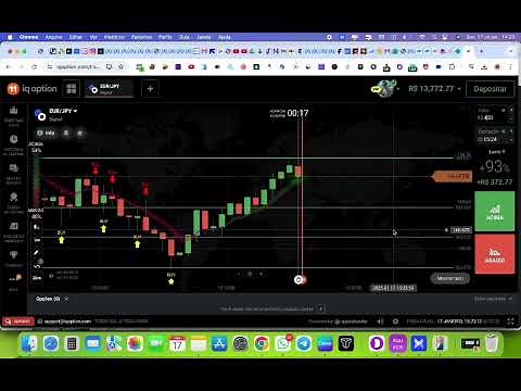 Discover the Best Script for IQ Option in 2025: Fast and Proven Results!