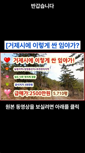 [임도개설완료] 이번에 멋진 임도가 개설된 임야 [5710평] 공시지가3천만원 완전 급매가 2500만원; 이 지역에 이렇게 싼 임야가?#shorts