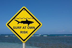 8 Places For Surfing Without Sharks (With Pictures)