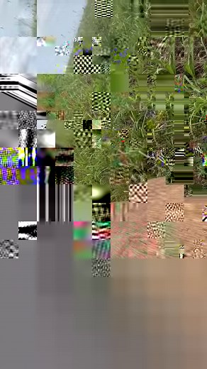 174K views · 2.7K reactions | The round beehive explained... I've gotten some questions about the transparent lid with the Ivry-B hive that is the world's first round and transparent hive. Let me explain. | White House on the Hill | Facebook