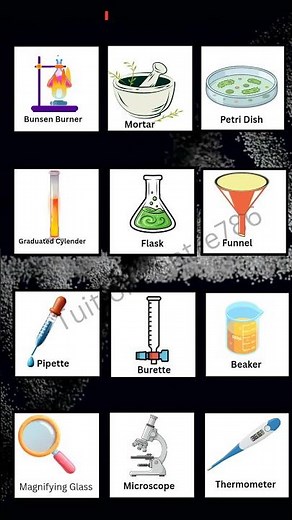 12 Common Lab Equipment 🔬 | Must Know Science Tools for Everyone!
