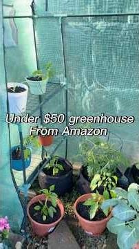 Amazon greenhouse for $50 🌱