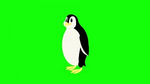 Download Cartoon Green Screen - Animals - Penguin for free