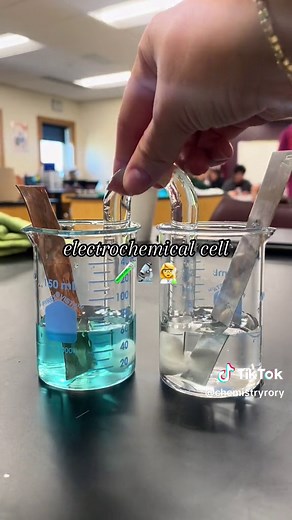 Electrochemical Cell Experiment: How an Electric Cell Works