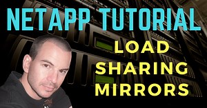NetApp Load Sharing Mirrors Tutorial - FlackBox