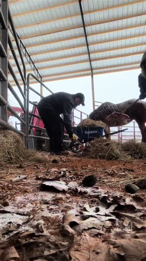 Always something to do. #ranchlife | Ranch Life