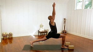Vinyasa 101