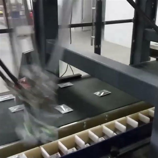 Pick-and-Place Case Packer Working Video | High-Efficiency Packaging Line