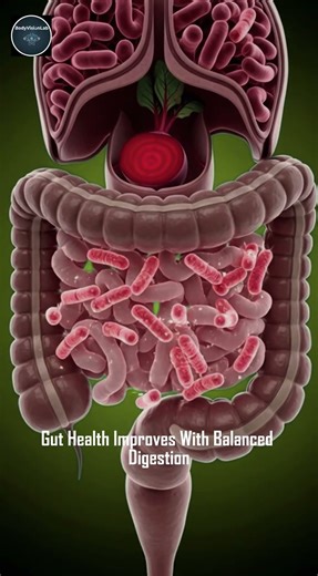 See How Beets Affects Your Body___Benefits And Side Effects #facts #beepropolis #beehealth