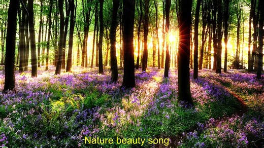 nature song Relaxing Music with Nature Sounds - Waterfall HD