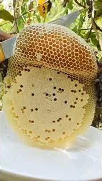 My Eid Duties Vibes😎 #morning #viral #village