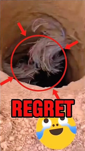 They Forgot to Check for Underground Lines… and Paid the Price