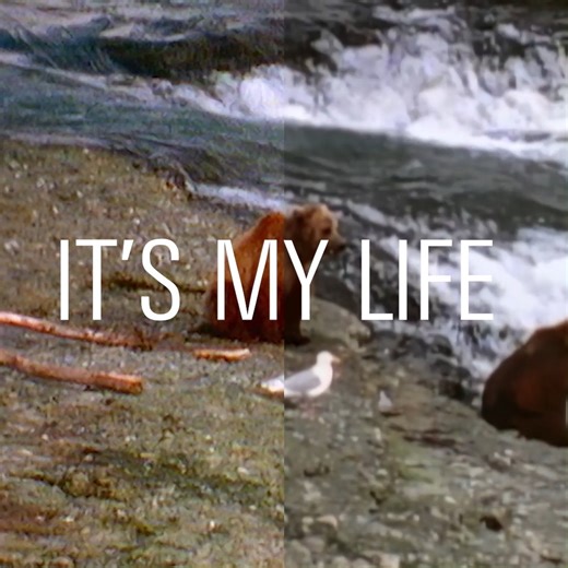 To celebrate 40 years since "It's My Life" the single was released, the official music video has been upgraded to 4K. Click the 'Settings' cog wheel on the video and change to 2160p/4K to watch in all its glory: https://talktalk.lnk.to/ItsMyLife | Talk Talk (Band)