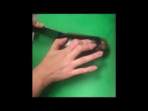 Oven baked aubergine - aubergine enfournée