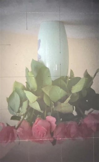 The Image appears upside-down...Before it makes sense