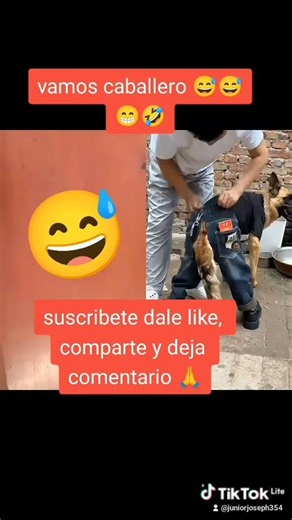 #humor #comedia #divertido #videoshort #vamos caballero 😆😂😂🤣🤣🤣🤣😂#
