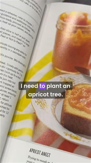 Peach jam made easy with Pomona's pectin #jam #peach #shorts