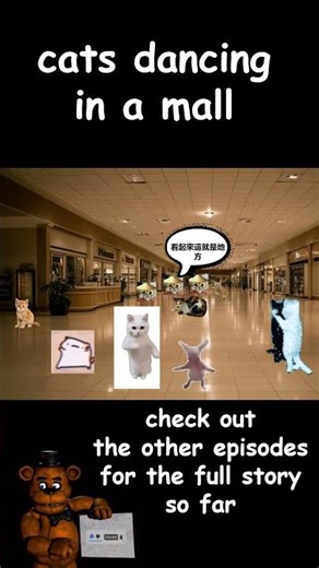 cats dancing in a mall