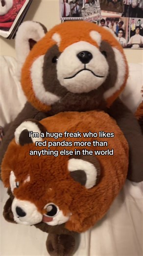 she gets a lil autistic with it | red pandas