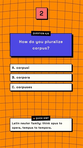 Plural Forms English Gets Wrong #Shorts