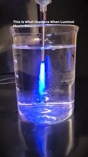 Artificial Intelligence | Prompts | AI Tools & News | Technology on Instagram: "👉Comment “369” and I’ll send you my complete 369+ AI Prompts. This glow isn’t magic, it’s molecular physics in motion. 💙 When luminol meets bleach, a chemical reaction instantly begins. Bleach oxidizes luminol, pulling its electrons into a higher energy state. As they fall back, they release that energy as pure blue light, no heat, no flame, just chemiluminescence. It’s the same principle used in forensics to detec