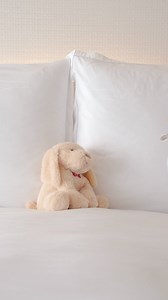 12K views · 59 reactions | The scene is set to create cherished memories. From cozy amenities to kid-friendly treats, our guest rooms transform into havens for family vacations. | The Peninsula Chicago | Facebook