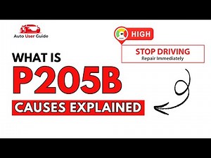 What is P205B : Engine Error Code Causes Explained