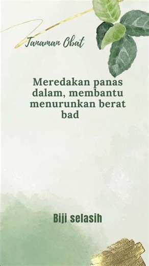 Tanaman obat tradisional Indonesia dan manfaatnya untuk kesehatan
