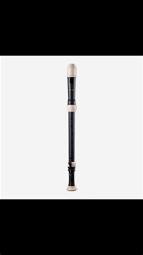 SMARTWOODI Recorder Set RS-605B Highlights