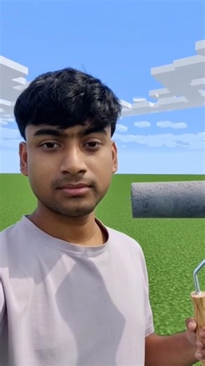 Minecraft : The Mob-Spawn Paint Roller Gadget ✨