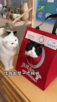 洗衣机进化大揭秘！5招让你爱不释手