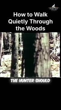 How to Walk Quietly Through the Woods