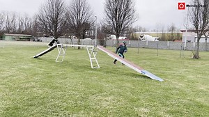 Hund: Bei Agility mit Weltmeister geht es um Spaß für beide (mit Video)