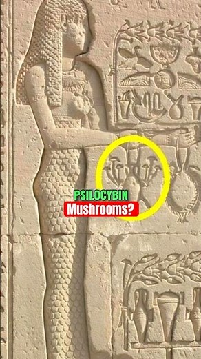 Ancient Egyptians Used Magic Mushrooms?🍄 Joe Rogan & Paul Stamets #history #joerogan
