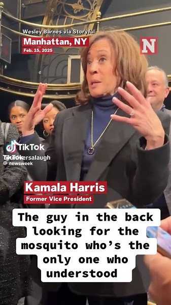 Universalaugh 🇫🇷🇨🇦🇲🇦 (@universalaugh)’s videos with Mosquito Buzzing (Buzz Flying Fly Mosquitoes Insect Noise Clip) [Sound Effect] - Finnolia Sound Effects