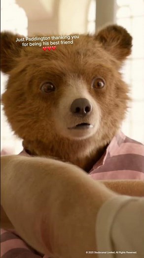 Paddington | Thank You Compilation