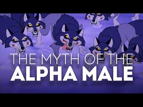 The Myth of the Alpha Male