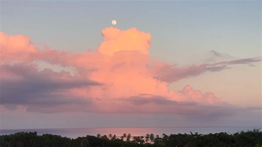 28K views · 1K reactions | I was admiring these beautiful clouds in sunset colors when I realized that the moon was sitting right on top. Stunning ❤️ | Lisa Robertson | Facebook