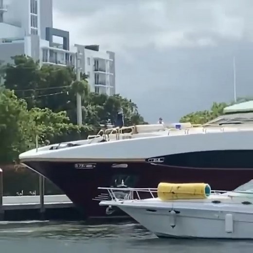 The captain must have been gone muff diving | TugLife