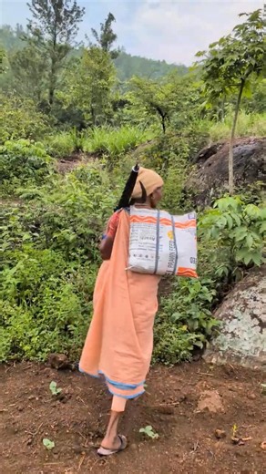 కొండ మామిడి పండ్లు ఇంత దొరుకుతాయని అస్సలు అనుకోలేదు