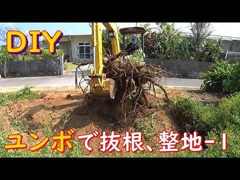 ＤＩＹ ユンボで抜根、整地-1