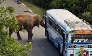 Sorry, we have encountered a problem. - Alexander Street, a ProQuest Company