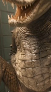 612K views · 12K reactions | The 3 most Alligator infested states in the world #Alligator #alligatorattack #usa #states #alligatorinfested #texasalligator #floridaaligator #texas #florida #louisiana #crocodiles #crocodilesinfestedwaters | World Facts | Facebook