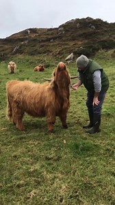 Quelques part en Ecosse. | Du kilt à la Harpe , errance celtique