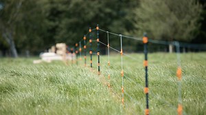 Discover the secrets of installing an Electric Fence Dropper with Gallagher's how-to video! Learn how quick and easy it can be to set up a fencing management system for your livestock. Visit our website here: https://gallaghersa.co.za/ #Gallagher #HowToVideo #LivestockManagement #FarmingTips #FarmLife #LivestockCare #FarmingSkills #FarmEducation #ExpertAdvice #AgTech #FarmersGuide #LivestockHealth | Gallagher Animal Management | Facebook