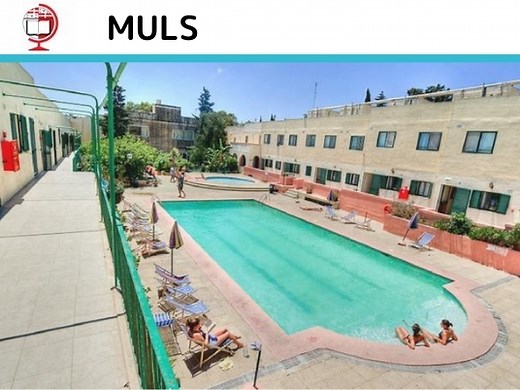 Malta University Language School[MULS] | マルタ大学付属の語学学校 | マルタ留学に詳しすぎるマルタマルタドットコム