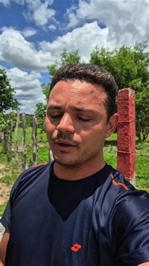 Cura da Ansiedade e Depressão: Tratamentos Naturais