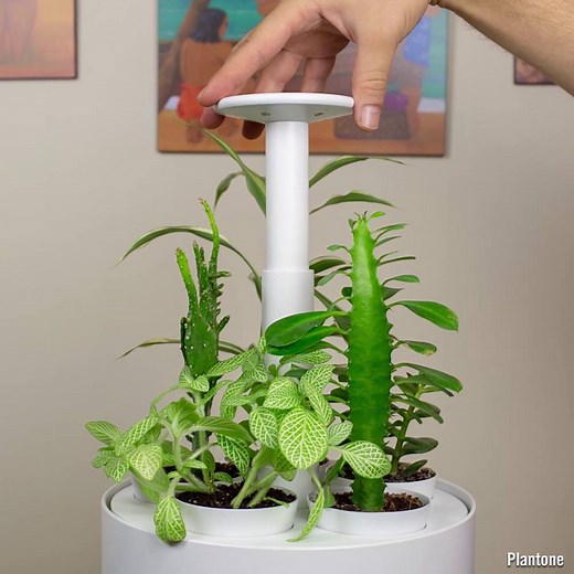 344K views · 2K reactions | This innovative smart garden is a sustainable and efficient way to grow plants indoors | Interesting Engineering | Facebook