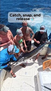 This Is How To Catch And Release A Marlin #fishingshorts #fishing #cabosanlucas
